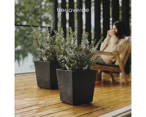 Twee vierkante gestructureerde plantenbakken met eucalyptus op een houten terras. Tierraverde Logo.
