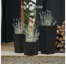 Tierraverde Logo. Drie zwarte vierkante bloembakken in verschillende hoogtes met lavendel op een terras.