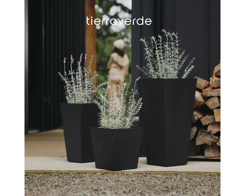 Tierraverde Logo. Drie zwarte vierkante bloembakken in verschillende hoogtes met lavendel op een terras.