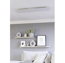 Plat LED-paneel als plafondlamp in een modern ingerichte woonkamer boven wandplanken met decoratie.