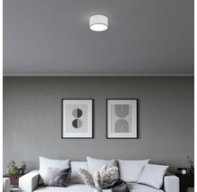 Moderne, cilindrische plafondlamp in een minimalistische woonkamer met bank en abstracte schilderijen aan een grijze muur.