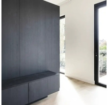 Modern interieur met donkerhouten wandpanelen en bijpassend dressoir in een lichte kamer met glazen deur.