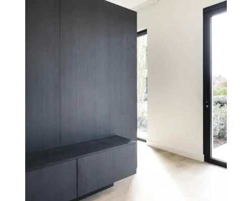 Modern interieur met donkerhouten wandpanelen en bijpassend dressoir in een lichte kamer met glazen deur.