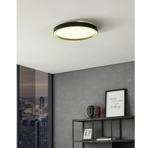 Moderne ronde LED-plafondlamp met zwart frame en groene lichtring in een kamer met grijze muur en metalen wandrek.