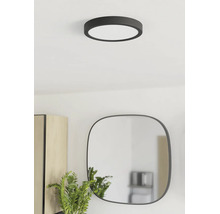 Moderne ronde plafondlamp in een lichte kamer met een afgeronde spiegel, houten kast en plant.