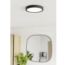 Moderne, ronde LED-plafondlamp in het zwart in een lichte kamer boven een spiegel en een plant.