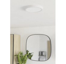 Ronde, platte LED-plafondlamp gemonteerd in een lichte kamer met spiegel en plant.
