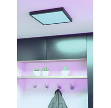 Vierkant LED-plafondpaneel met zwart frame in een moderne hal met plank, kleine planten en wandhaken.