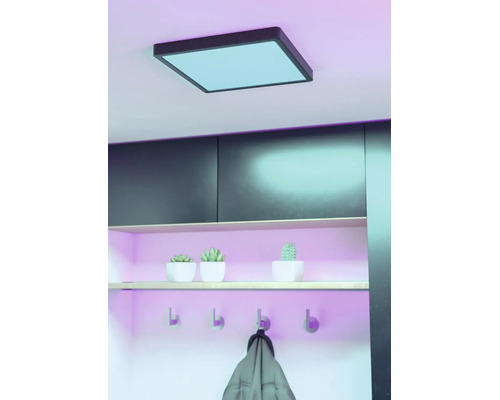 Vierkant LED-plafondpaneel met zwart frame in een moderne hal met plank, kleine planten en wandhaken.
