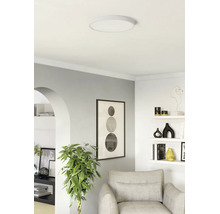 Moderne, lichte woonkamer met een ronde led-plafondlamp, een grijze fauteuil, een kamerplant en decoratieve wandplanken.