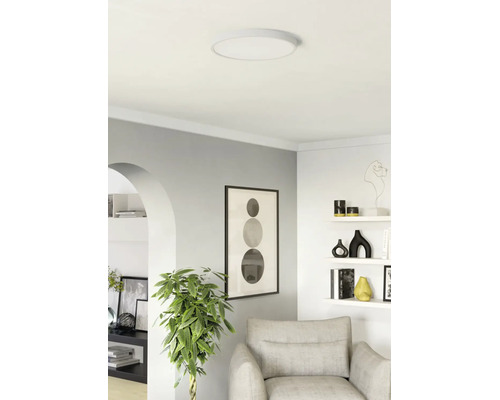 Moderne, lichte woonkamer met een ronde led-plafondlamp, een grijze fauteuil, een kamerplant en decoratieve wandplanken.