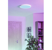 Ronde plafondlamp in een modern ingerichte kamer met een houten deur, wanddecoratie, een kamerplant en een hoge open kast.