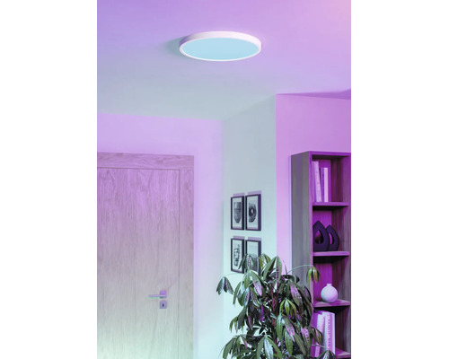 Ronde plafondlamp in een modern ingerichte kamer met een houten deur, wanddecoratie, een kamerplant en een hoge open kast.