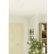 Vlak, vierkant LED-paneel als plafondlamp in een lichte, moderne woonkamer met houten deur en kamerplant.
