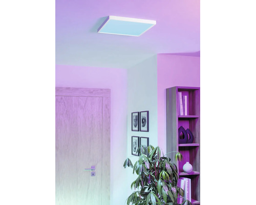 Modern vierkant LED-paneel aan het plafond van een woonkamer met violette verlichting, houten deur, boekenplank en kamerplant.