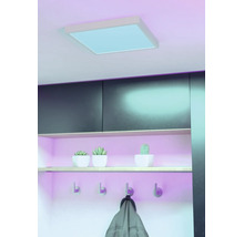 Vierkant LED-paneel gemonteerd aan het plafond, boven een wandplank met decoratie en kledinghaken in een modern ingerichte woonruimte.