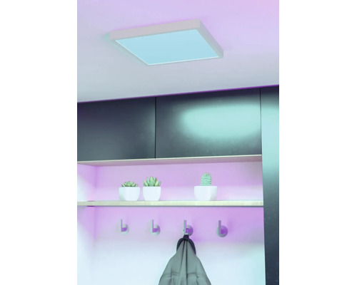 Vierkant LED-paneel gemonteerd aan het plafond, boven een wandplank met decoratie en kledinghaken in een modern ingerichte woonruimte.
