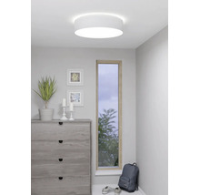 Ronde witte plafondlamp in een moderne kamer met een ladekast, een plant en een smal raam.
