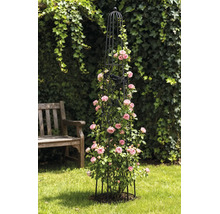 Zwarte metalen tuinobelisk als klimsteun voor roze klimrozen op een grasveld.