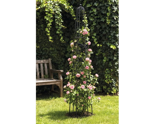 Zwarte metalen tuinobelisk als klimsteun voor roze klimrozen op een grasveld.