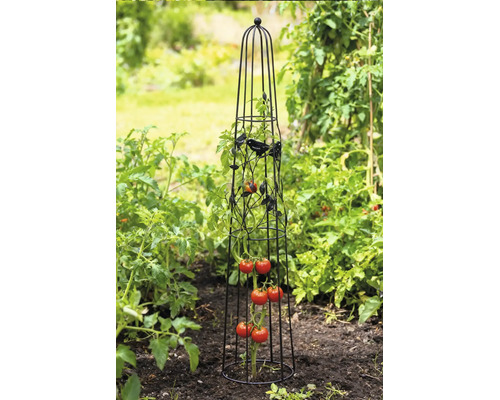 Metalen plantenobelisk voor tomaten met vogelmotieven in een moestuin.