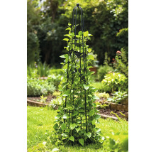 Zwarte metalen plantensteun in obeliskvorm met vogeldecoratie en groene klimplanten in een tuin.