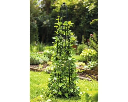 Zwarte metalen plantensteun in obeliskvorm met vogeldecoratie en groene klimplanten in een tuin.