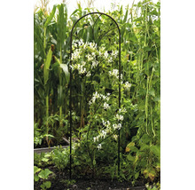 Metalen klimrek met decoratieve vogels en bladeren, begroeid met een witbloeiende klimplant in een tuin.