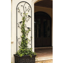 Metalen klimplantenrek met plantenbak, decoratief rek met vogelmotief, beplant met klimop tegen een buitenmuur.