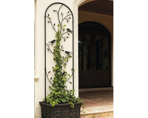 Metalen klimplantenrek met plantenbak, decoratief rek met vogelmotief, beplant met klimop tegen een buitenmuur.