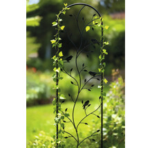 Decoratief metalen klimplantrek met ronde boog, blad- en vogelmotieven, begroeid met een klimplant in een tuin.