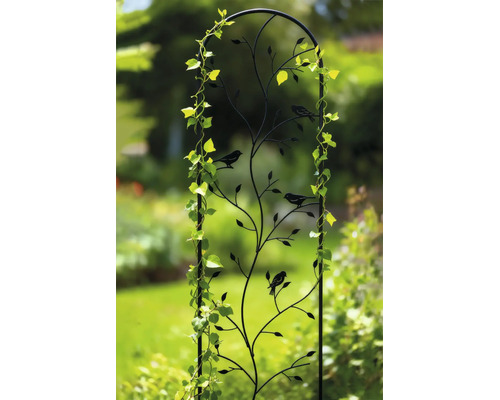 Decoratief metalen klimplantrek met ronde boog, blad- en vogelmotieven, begroeid met een klimplant in een tuin.