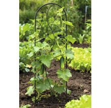 Decoratief zwart metalen klimrek met vogelmotieven in een lichte tuinbedding, die een groeiende komkommerplant met vruchten ondersteunt.