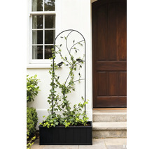 Zwart metalen klimrek met vogel- en bladmotieven in een zwarte plantenbak naast een huisingang met een houten deur en raam.