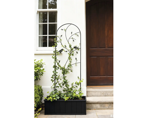 Zwart metalen klimrek met vogel- en bladmotieven in een zwarte plantenbak naast een huisingang met een houten deur en raam.