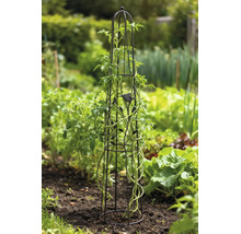 Metalen plantenobelisk met vogel- en bladdecoratie, ondersteunt een klimplant in een tuinbed.