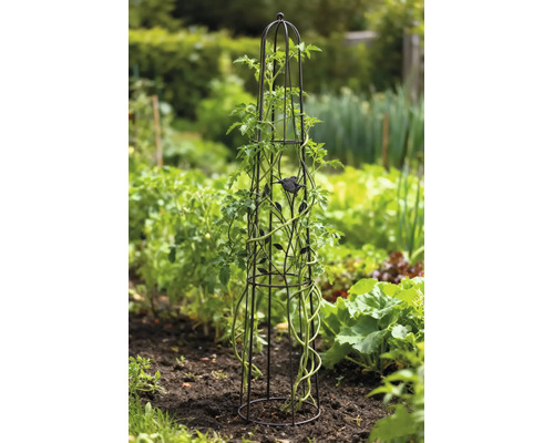 Metalen plantenobelisk met vogel- en bladdecoratie, ondersteunt een klimplant in een tuinbed.