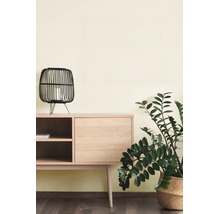 Minimalistisch houten dressoir met een zwarte lantaarn en een groene kamerplant in een geweven mand tegen een lichte muur.