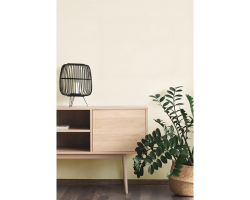 Minimalistisch houten dressoir met een zwarte lantaarn en een groene kamerplant in een geweven mand tegen een lichte muur.