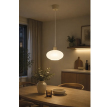 Hanglamp met een ovale glazen kap in een modern ingerichte eetkamer boven een houten tafel.