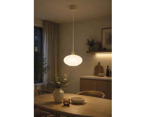 Hanglamp met een ovale glazen kap in een modern ingerichte eetkamer boven een houten tafel.
