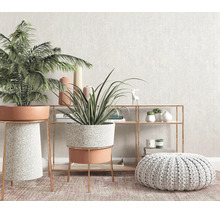 Woonkamer met twee kamerplanten in moderne plantenbakken met metalen onderstel en een rond vloerkussen voor een wandrek.