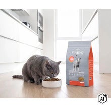 Grijze kat eet droogvoer uit een bakje naast een verpakking Finevo kattenvoer in een lichte keuken. (Image AI modified or generated)