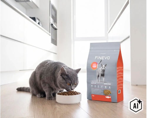 Grijze kat eet droogvoer uit een bakje naast een verpakking Finevo kattenvoer in een lichte keuken. (Image AI modified or generated)
