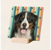 Vierkante keramische tegel met portret van een Berner Sennenhond op gestreepte achtergrond met pootafdrukken op een kleine houten standaard