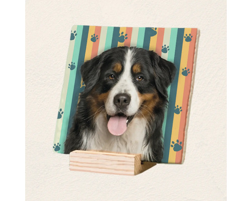 Vierkante keramische tegel met portret van een Berner Sennenhond op gestreepte achtergrond met pootafdrukken op een kleine houten standaard