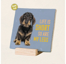 Decoratief bordje met teckelmotief en tekst Life is short so are my legs op een houten houder met goudfolie afwerking.