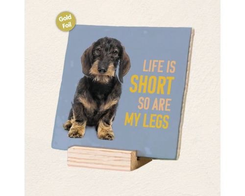 Decoratief bordje met teckelmotief en tekst Life is short so are my legs op een houten houder met goudfolie afwerking.
