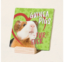Decoratieve tegel met cavia afbeelding en de tekst Guinea Pigs Fur Ever op een houten standaard