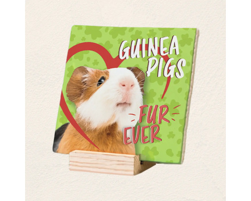 Decoratieve tegel met cavia afbeelding en de tekst Guinea Pigs Fur Ever op een houten standaard